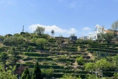 曼联阿莫林英超挑战：战术适应与球队融合难题